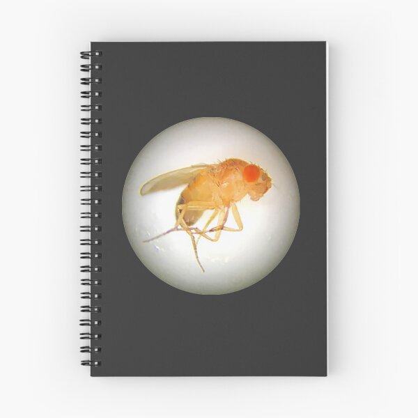 Item preview, Fruit Fly (Benjamin) designed and sold by Squid-ink-art.