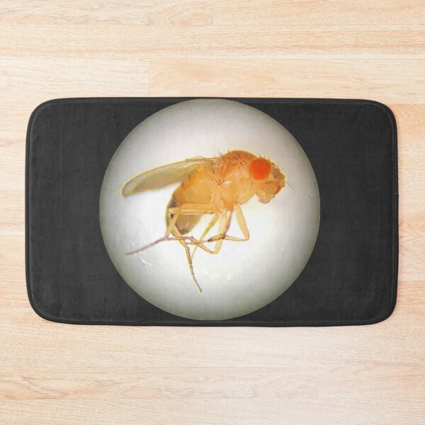 Item preview, Fruit Fly (Benjamin) designed and sold by Squid-ink-art.