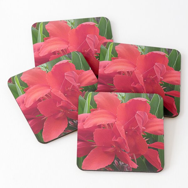 Item preview, Red Canna - Lily designed and sold by EdsMum.