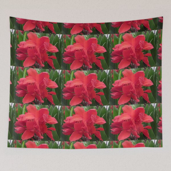 Item preview, Red Canna - Lily designed and sold by EdsMum.