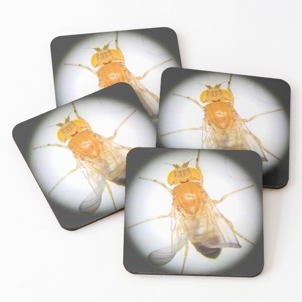Item preview, Fruit Fly (Gibby) designed and sold by Squid-ink-art.