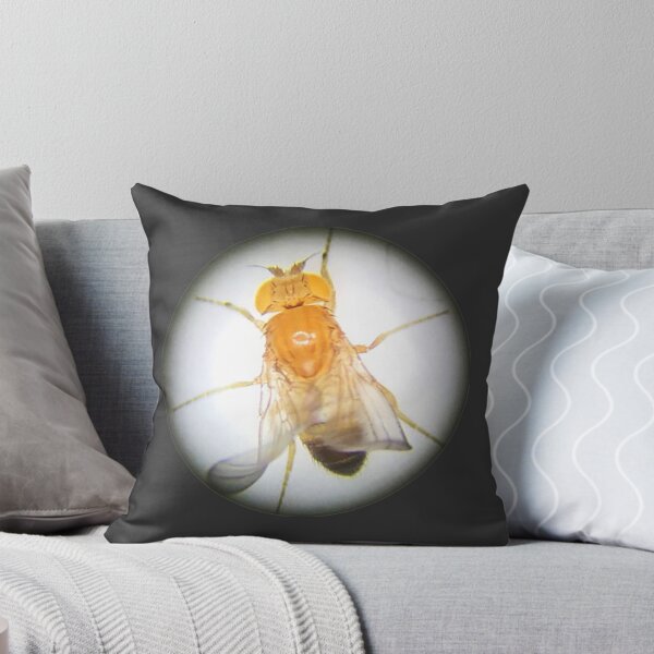 Item preview, Fruit Fly (Gibby) designed and sold by Squid-ink-art.