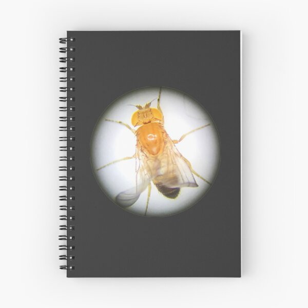 Item preview, Fruit Fly (Gibby) designed and sold by Squid-ink-art.
