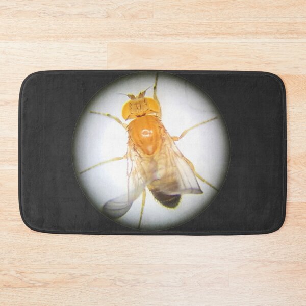 Item preview, Fruit Fly (Gibby) designed and sold by Squid-ink-art.