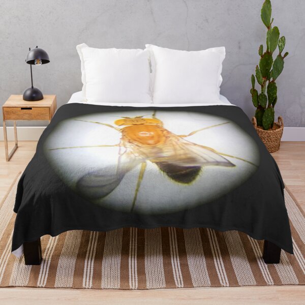 Item preview, Fruit Fly (Gibby) designed and sold by Squid-ink-art.