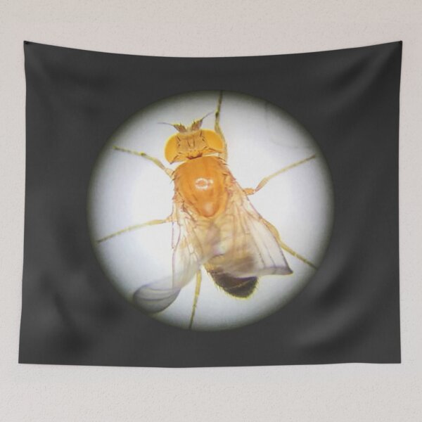 Item preview, Fruit Fly (Gibby) designed and sold by Squid-ink-art.
