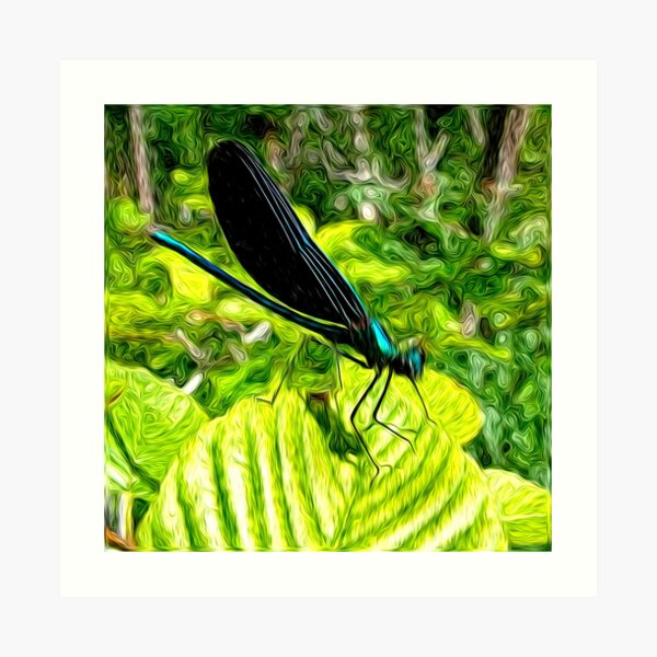 Spring Swirlings 10 Art Print