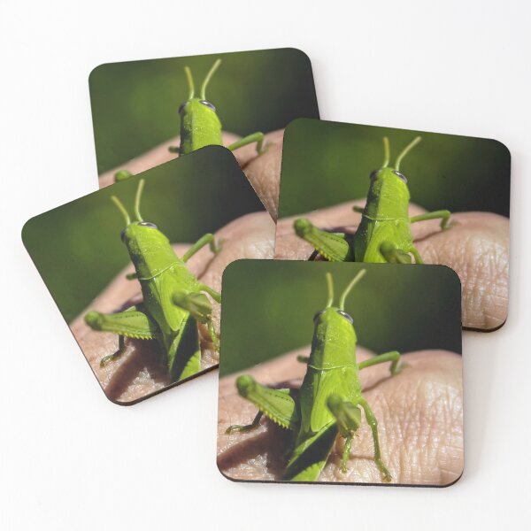 Item preview, Friendly Grasshopper! designed and sold by heatherfriedman.