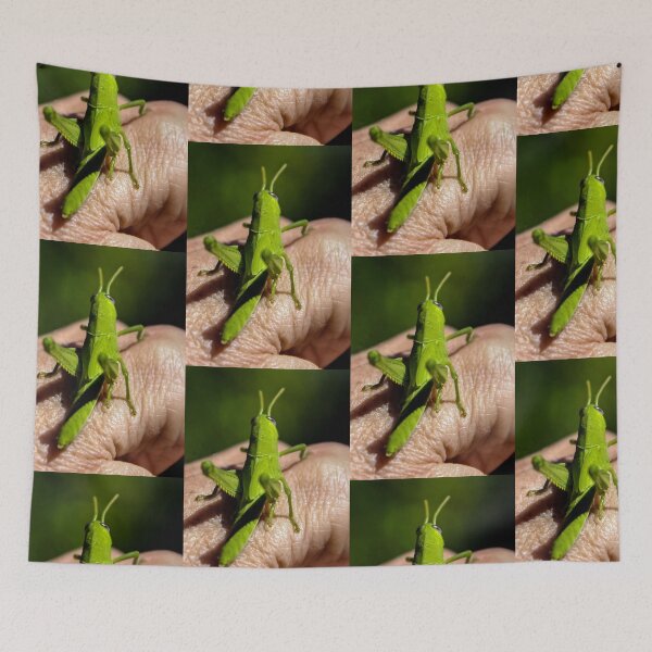 Item preview, Friendly Grasshopper! designed and sold by heatherfriedman.