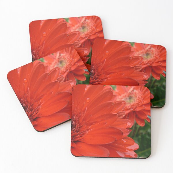 Item preview, Glorious Gerberas designed and sold by rileyo.
