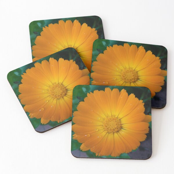 Item preview, Calendula designed and sold by rileyo.