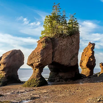 Artwork thumbnail, Hopewell Rocks by Alla Gill