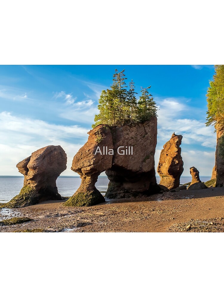 Thumbnail 3 of 3, Scarf, Hopewell Rocks designed and sold by algill.