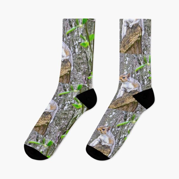 Item preview, Squirrel in the Spring... designed and sold by RichImage.