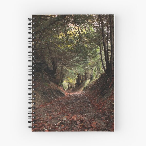 Item preview, North Downs Way - through the woods designed and sold by rsangsterkelly.