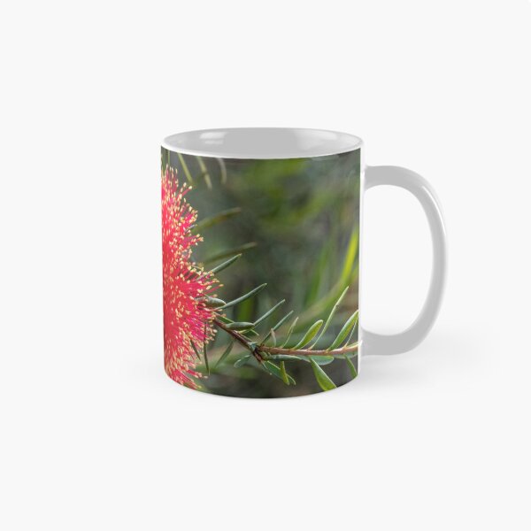 Item preview, Scarlet Honeymyrtle (Melaleuca Fulgens) designed and sold by DPalmer.