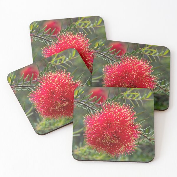 Item preview, Scarlet Honeymyrtle (Melaleuca Fulgens) designed and sold by DPalmer.