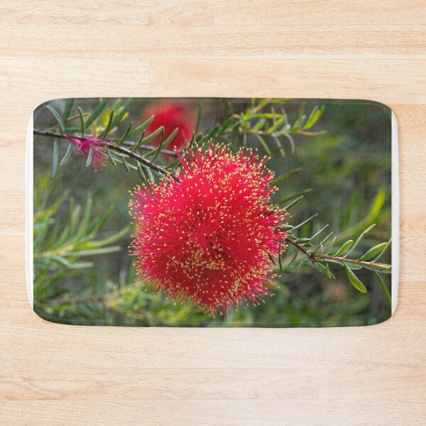Item preview, Scarlet Honeymyrtle (Melaleuca Fulgens) designed and sold by DPalmer.