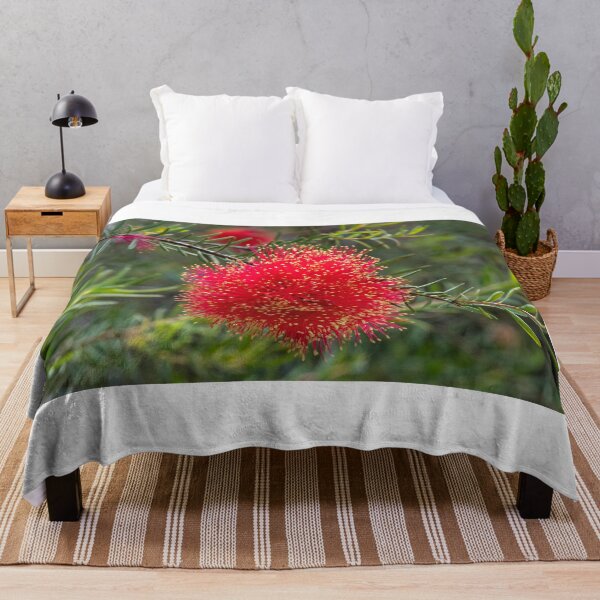 Item preview, Scarlet Honeymyrtle (Melaleuca Fulgens) designed and sold by DPalmer.