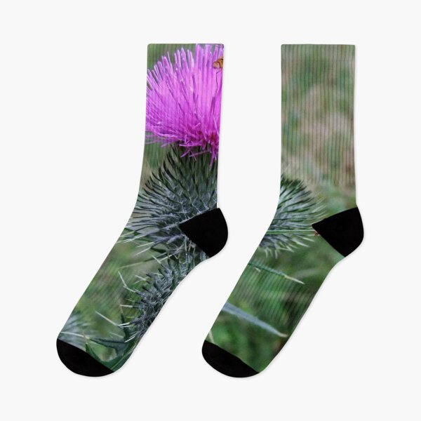 Item preview, Scottish Thistle designed and sold by AnnDixon.