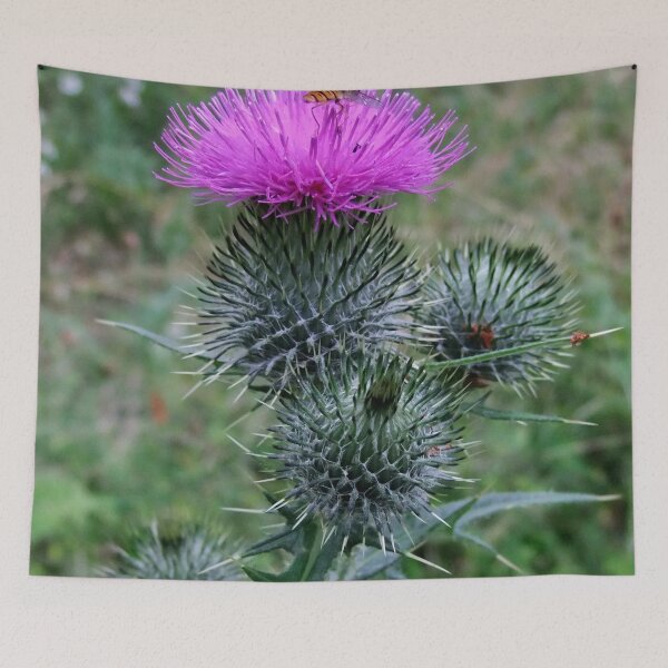 Item preview, Scottish Thistle designed and sold by AnnDixon.