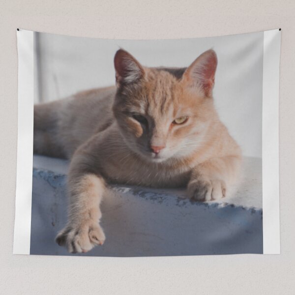 Item preview, CUTE COOL CAT CHILLING designed and sold by R.U BOLD.