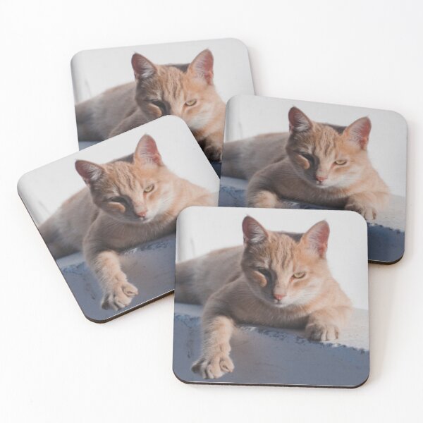 Item preview, CUTE COOL CAT CHILLING designed and sold by R.U BOLD.