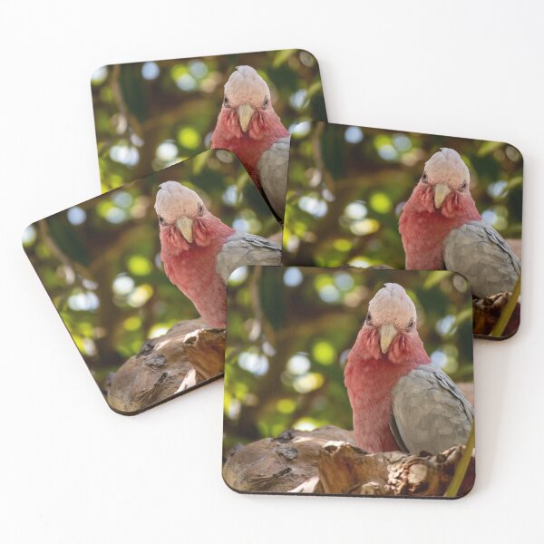 Item preview, A Galah designed and sold by DPalmer.