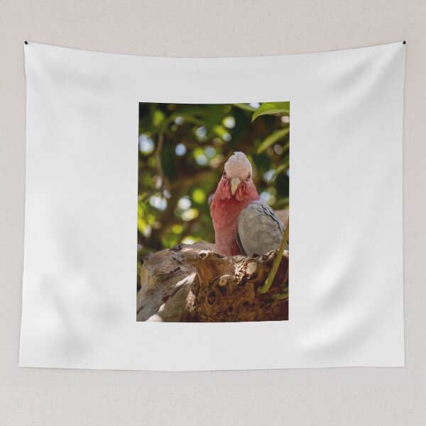 Item preview, A Galah designed and sold by DPalmer.