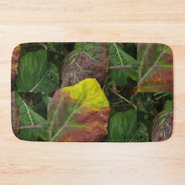 Item preview, Brassica Fairy Garden designed and sold by MeyrellesMartin.