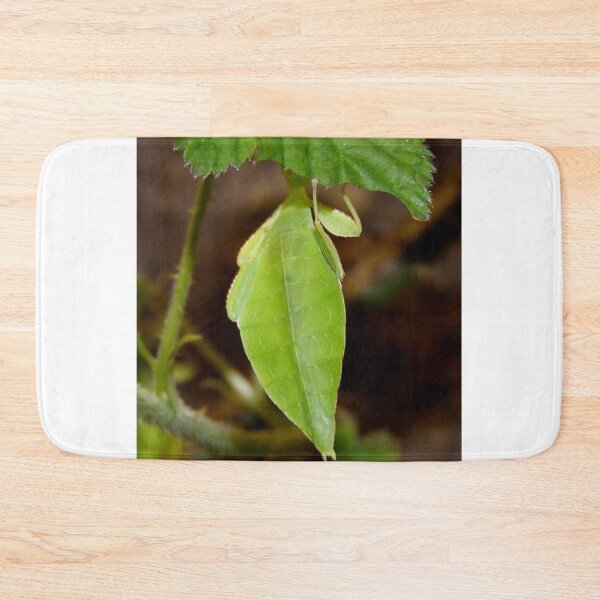 Item preview, Leaf Lookalike Stick Insect designed and sold by AnnDixon.