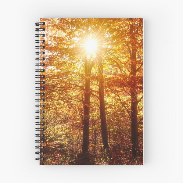Item preview, Where the trees are on fire designed and sold by Michele Brusini.