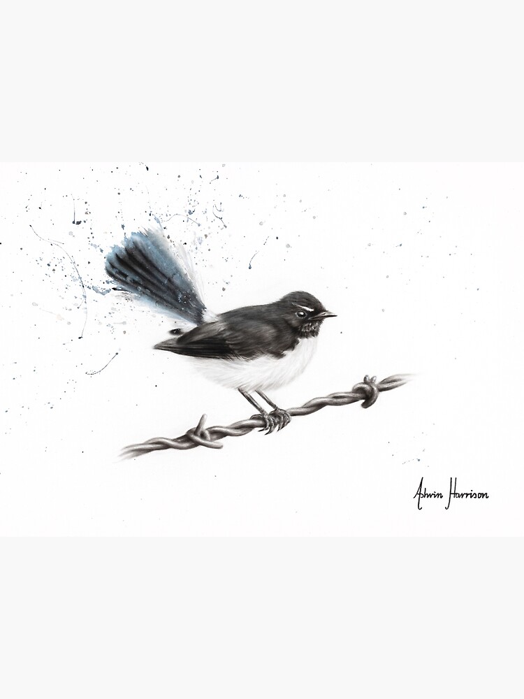 "Centenary Willy Wagtail" Poster by AshvinHarrison Redbubble
