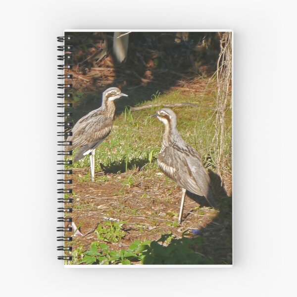 Item preview, Bush Stone Curlews designed and sold by Margaret  Hyde.