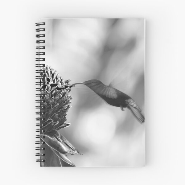 Item preview, Colibri designed and sold by cinema4design.