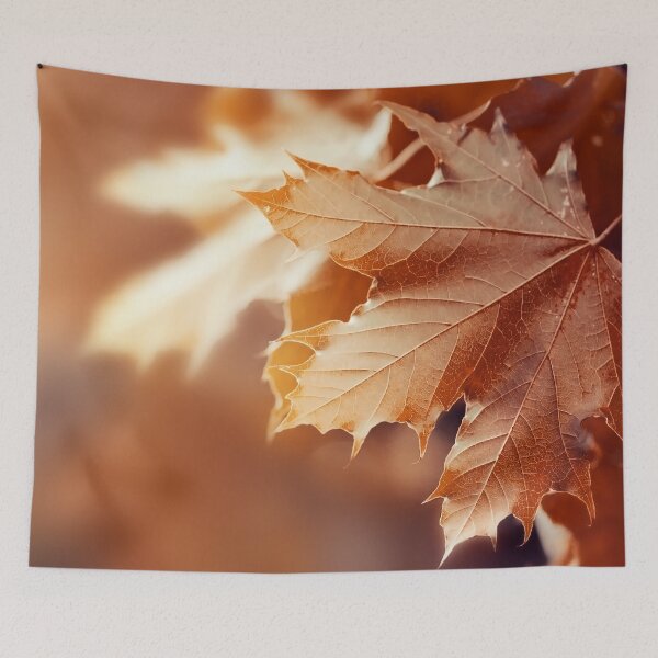 Item preview, Autumn leaves designed and sold by OrionPhotograph.