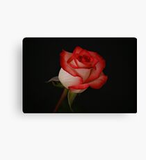 Simplicity Canvas Print