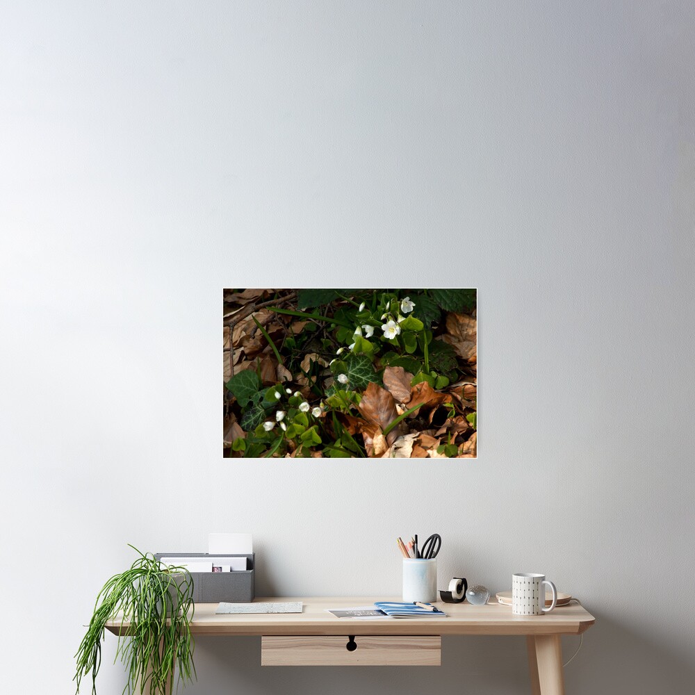 Item preview, Poster designed and sold by steppeland.