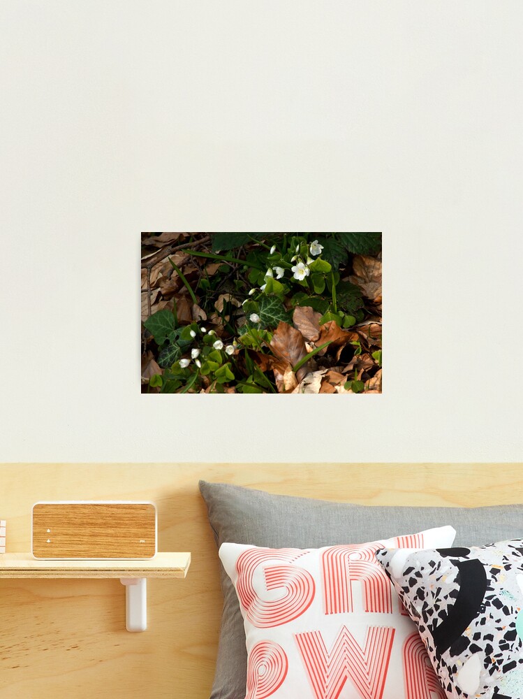 Thumbnail 2 of 3, Photographic Print, Less notable, but as beautiful... designed and sold by steppeland.