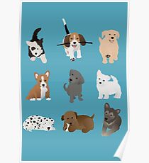 puppies (blue) Poster