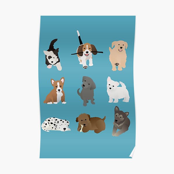 Puppy Posters Redbubble - red heeler puppy roblox