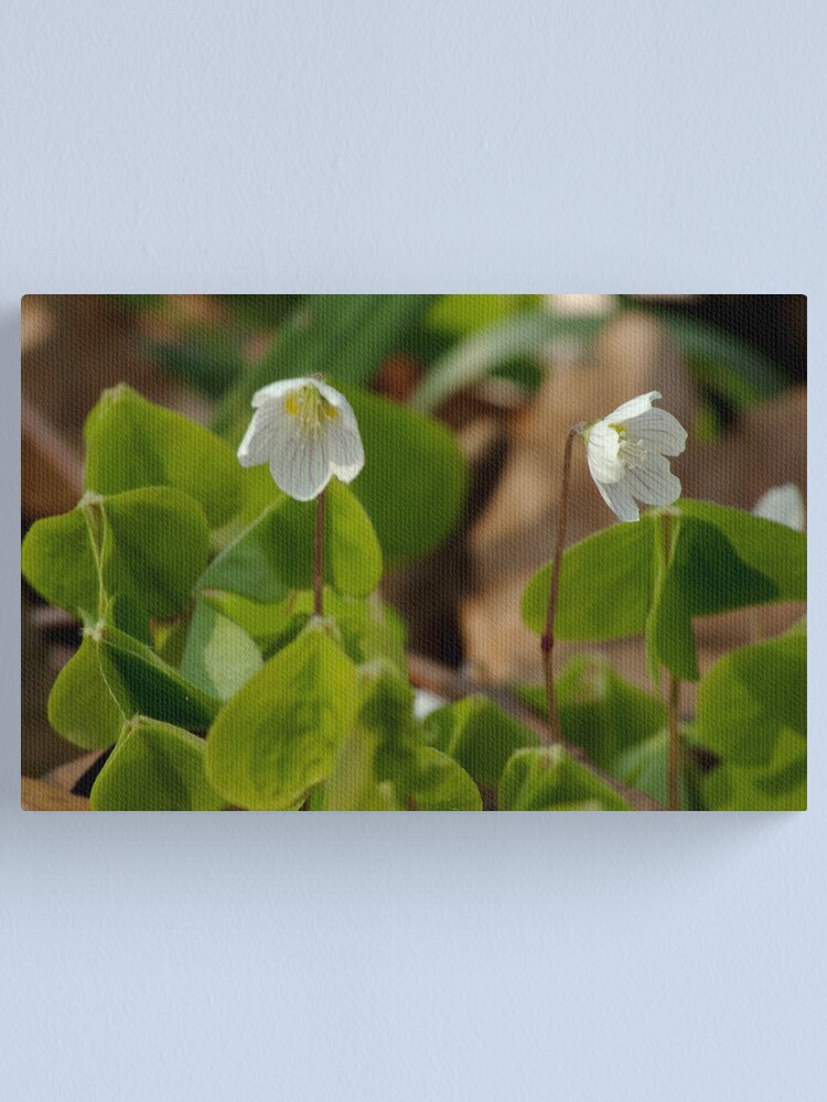 Alternate view of Little wood fairies Canvas Print