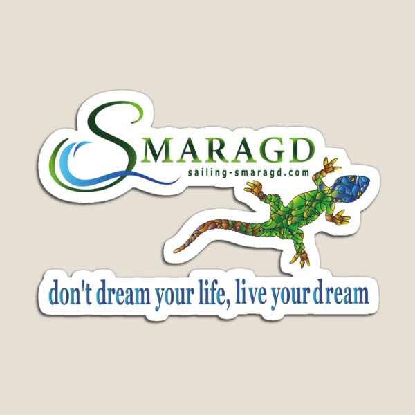 don´t dream your live Magnet