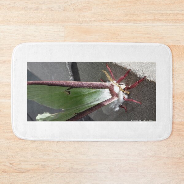 Item preview, A Luna Moth Up Close designed and sold by Kimmary.