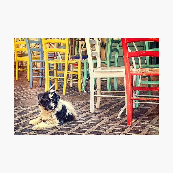 Item preview, Dog nap time designed and sold by Delphimages Art.