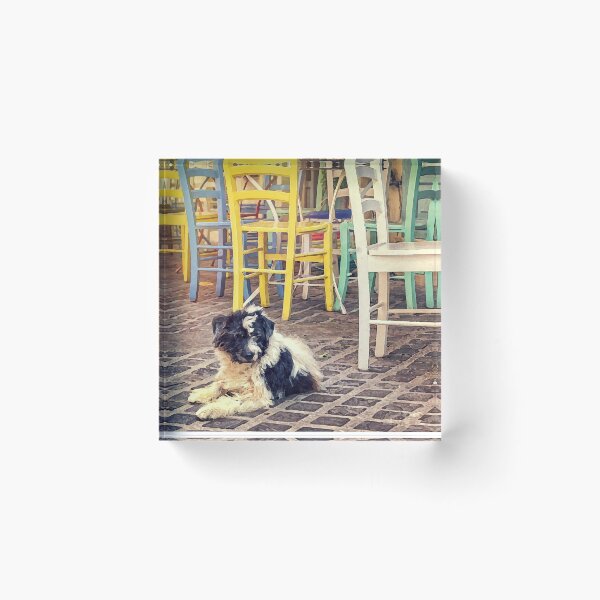 Item preview, Dog nap time designed and sold by Delphimages Art.