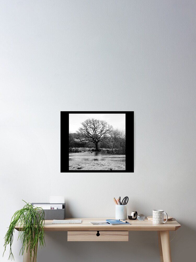 Aperçu 2 sur 3. Poster avec l'œuvre Spring Tree créée et vendue par rickdunstan.