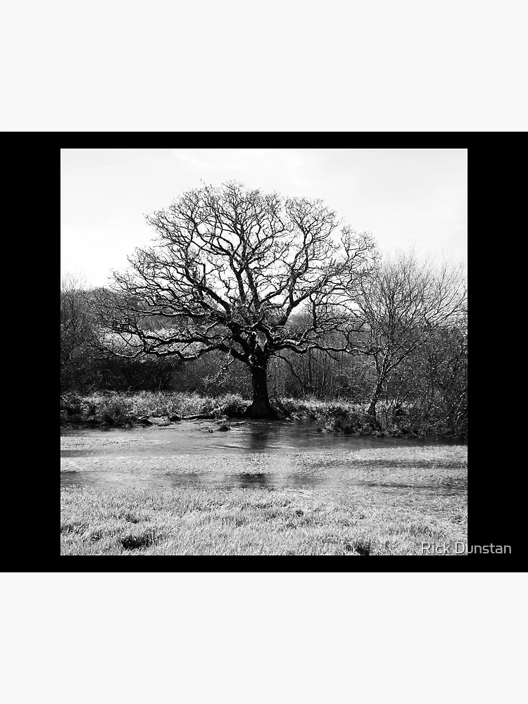 Thumbnail 3 of 3, Poster, Spring Tree designed and sold by Richard Dunstan.