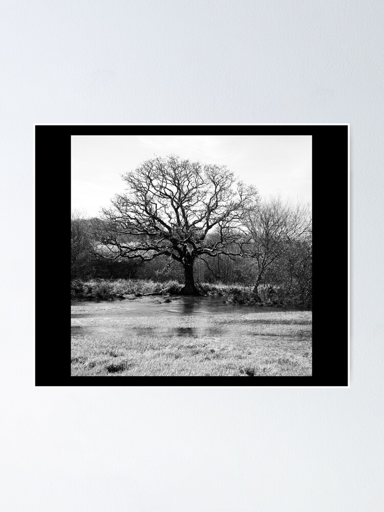 Aperçu 1 sur 3. Poster avec l'œuvre Spring Tree créée et vendue par rickdunstan.