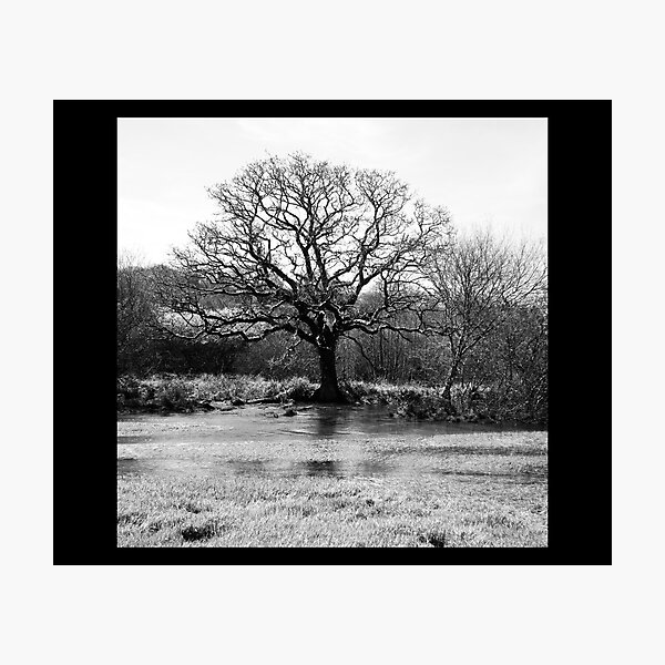 Item preview, Spring Tree designed and sold by Richard Dunstan.